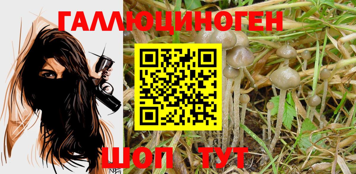 Кропоткин  Псилоцибиновые грибы GOLDEN TEACHER  Вход с VPN 