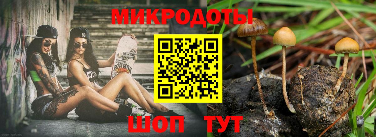 Галлюциногенные грибы мицелий Кропоткин